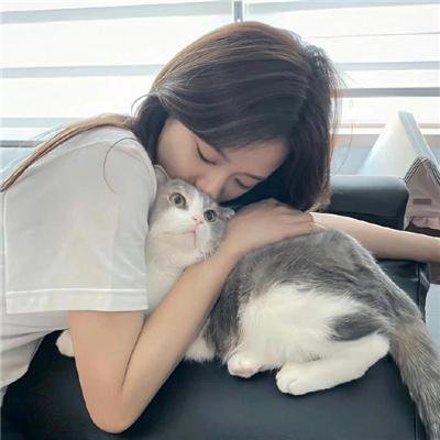 动物之爱