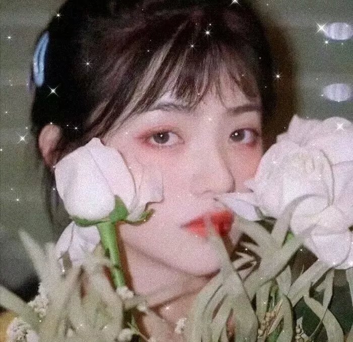少年进化论